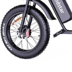 Electric bike Ridstar Q20 PRO 52V (2000W Dual Motor) 40AH Battery – Image 4