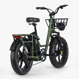 Fiido T1 Pro Vélo électrique Cargo – Image 2