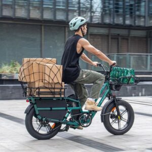 Fiido T2 Vélo électrique Longtail Fatbike Cargo – Image 2