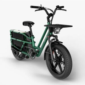 Fiido T2 Vélo électrique Longtail Fatbike Cargo – Image 10