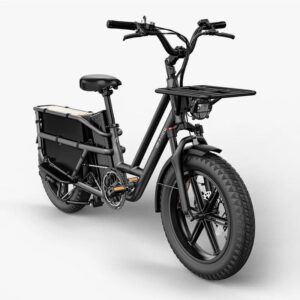 Fiido T2 Vélo électrique Longtail Fatbike Cargo – Image 9
